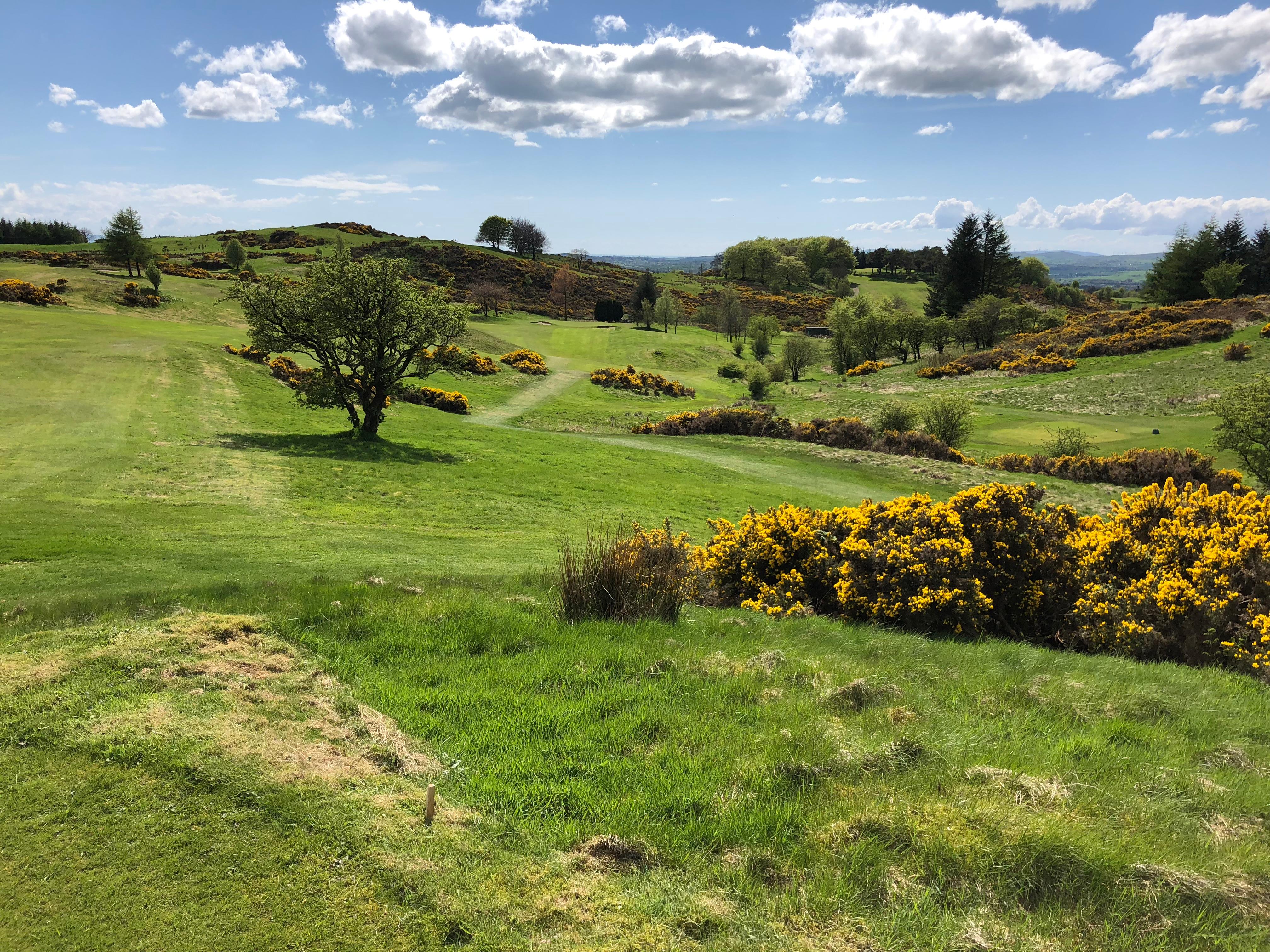 Hole 8 — view from the tee